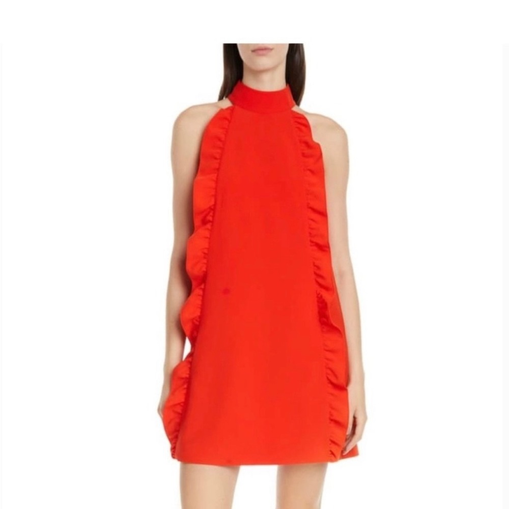 Ted Baker Torriya Ruffle Shift Style dress , back gold zip, side pockets, size 0